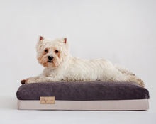Įkelti vaizdą į galerijos rodinį, It is a dog laying on a dog bed wetnosedog ‘šlapia nosis’ šuns guoliai
