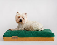Įkelti vaizdą į galerijos rodinį, It is a West Highland White Terrier laying on a dog bed brand ‘slapia nosis’ wetnosedog. Šuns guolis ‘šlapia nosis’ ir šuo gulintis ant jo
