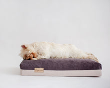 Įkelti vaizdą į galerijos rodinį, It is a dog laying on a dob bed. Šuns guolis ‘šlapia nosis’ wetnosedog dog beds
