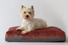 Įkelti vaizdą į galerijos rodinį, Šuns guolis Šlapia Nosis. Šuo guli ant lovos 
