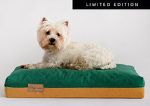 Įkelti vaizdą į galerijos rodinį, Limited edition dog bed with a dog laying on a bed
