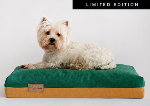 Limited edition dog bed with a dog laying on a bed