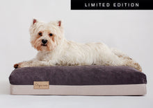 Įkelti vaizdą į galerijos rodinį, Limited edition dog bed with a dog laying on it

