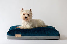 Įkelti vaizdą į galerijos rodinį, Šuns guolis ‘Šlapia nosis’. Dog is laying on a dog bed
